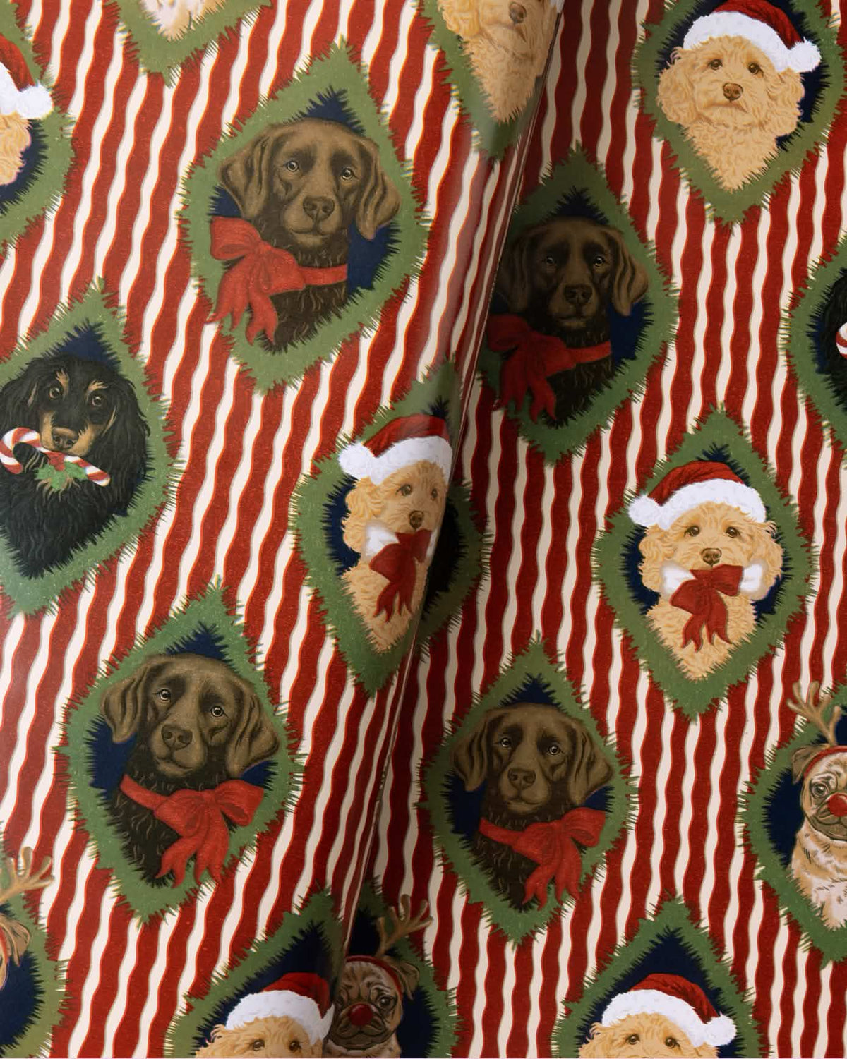 Christmas Chip & Friends Stripe Print Wrapping Paper