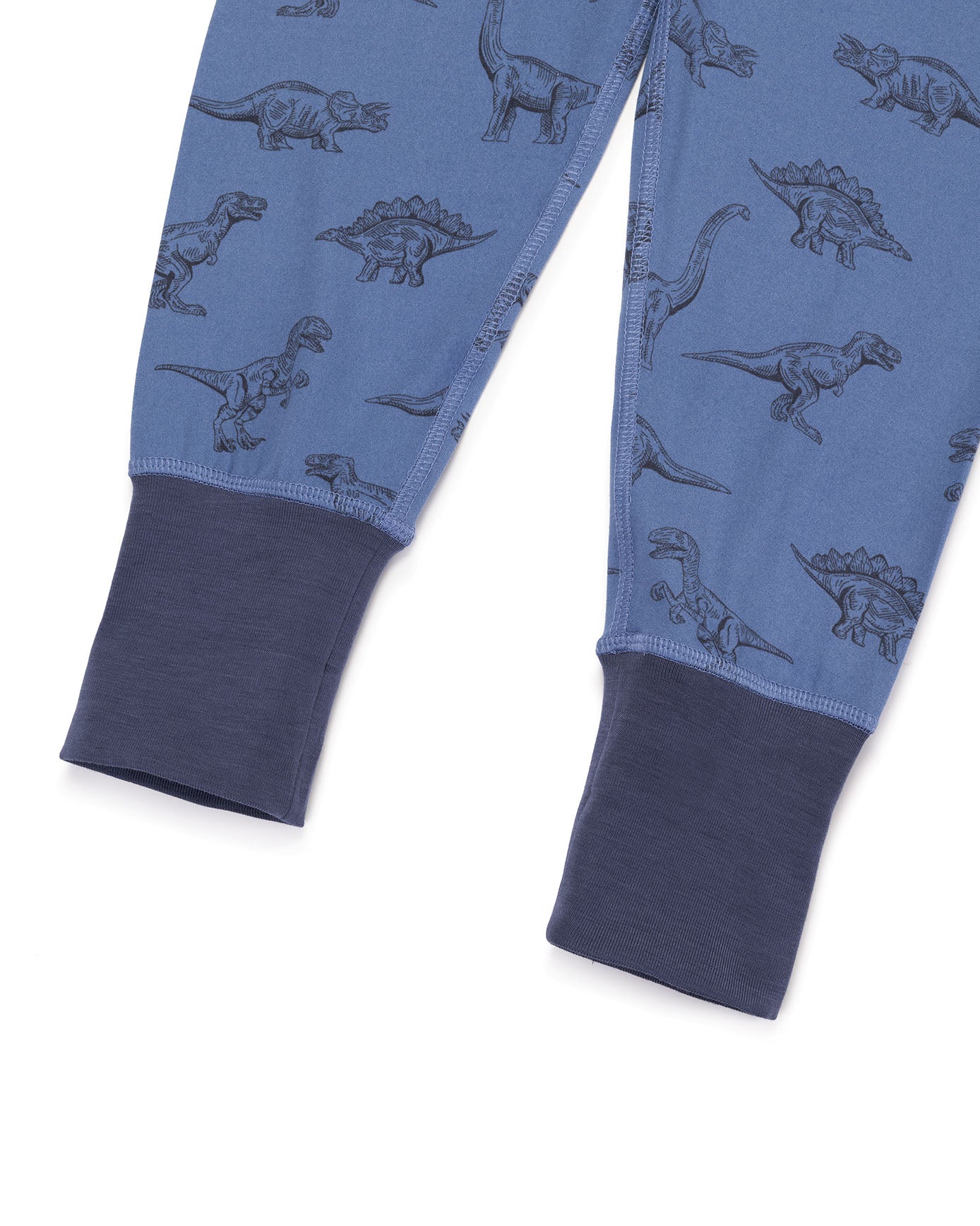 Kids Tonal Dinosaur Print Long Pyjama Set