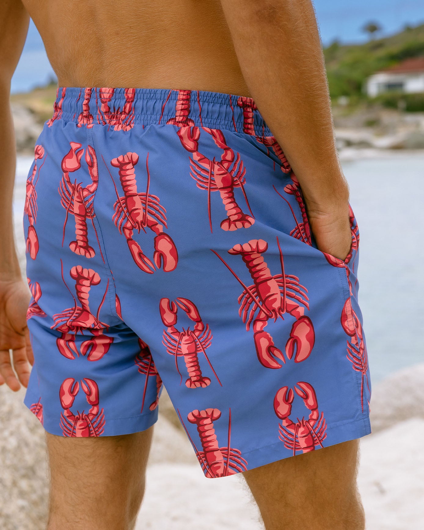Lobster Print Swim Shorts