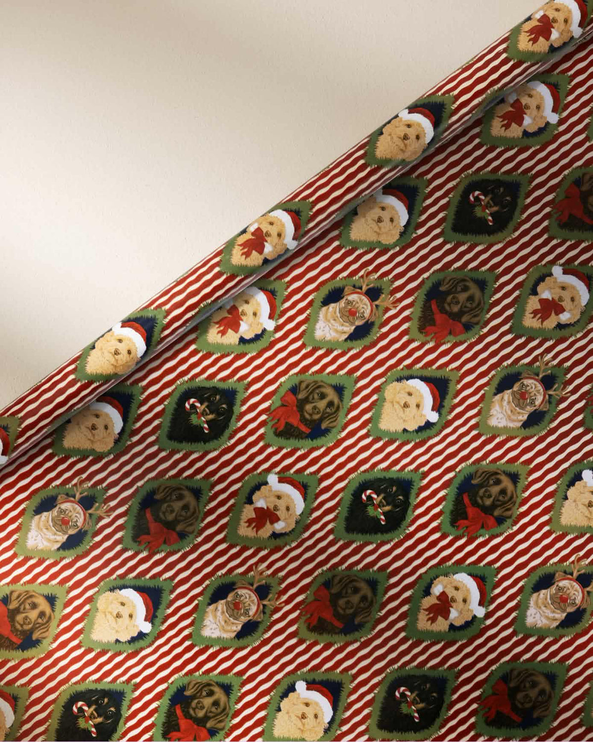 Christmas Chip & Friends Stripe Print Wrapping Paper