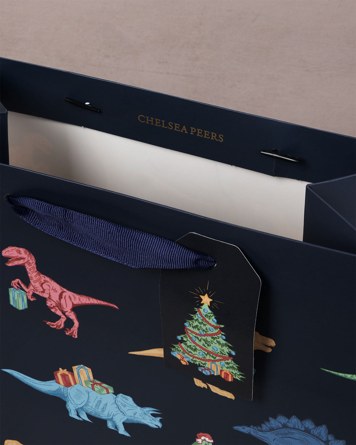 Christmas Dinosaur Print Gift Bag