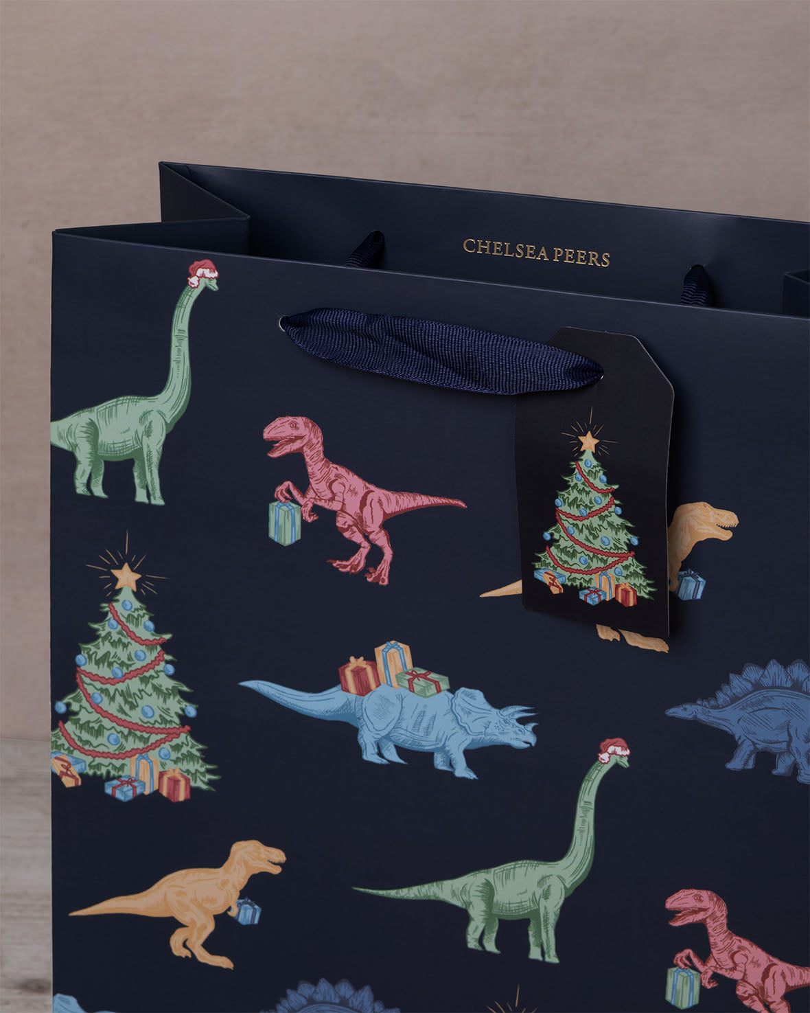 Christmas Dinosaur Print Gift Bag