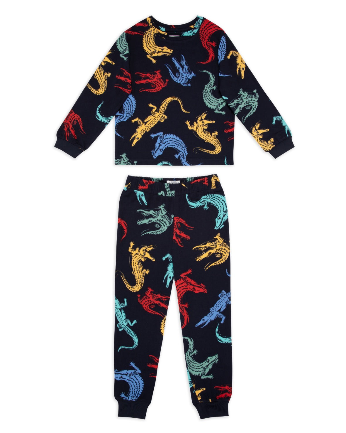 Kids Colourful Crocodiles Print Long Pyjama Set