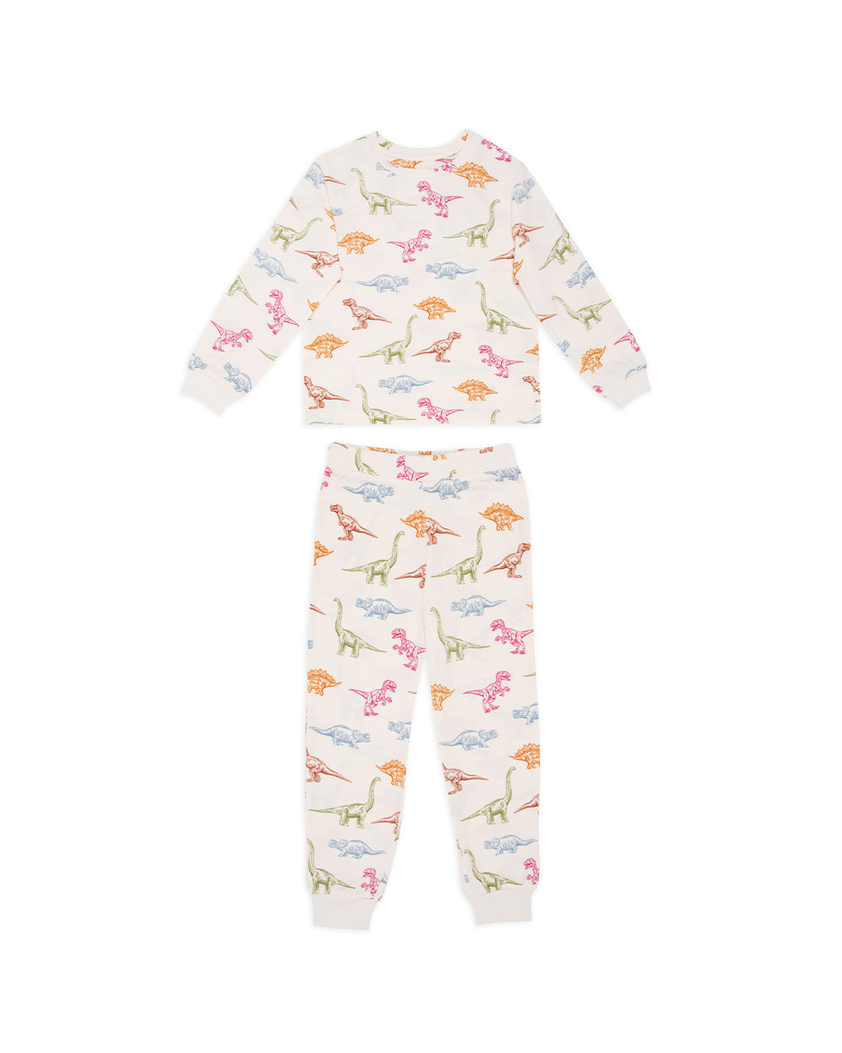 Kids Dinosaur Print Long Pyjama Set