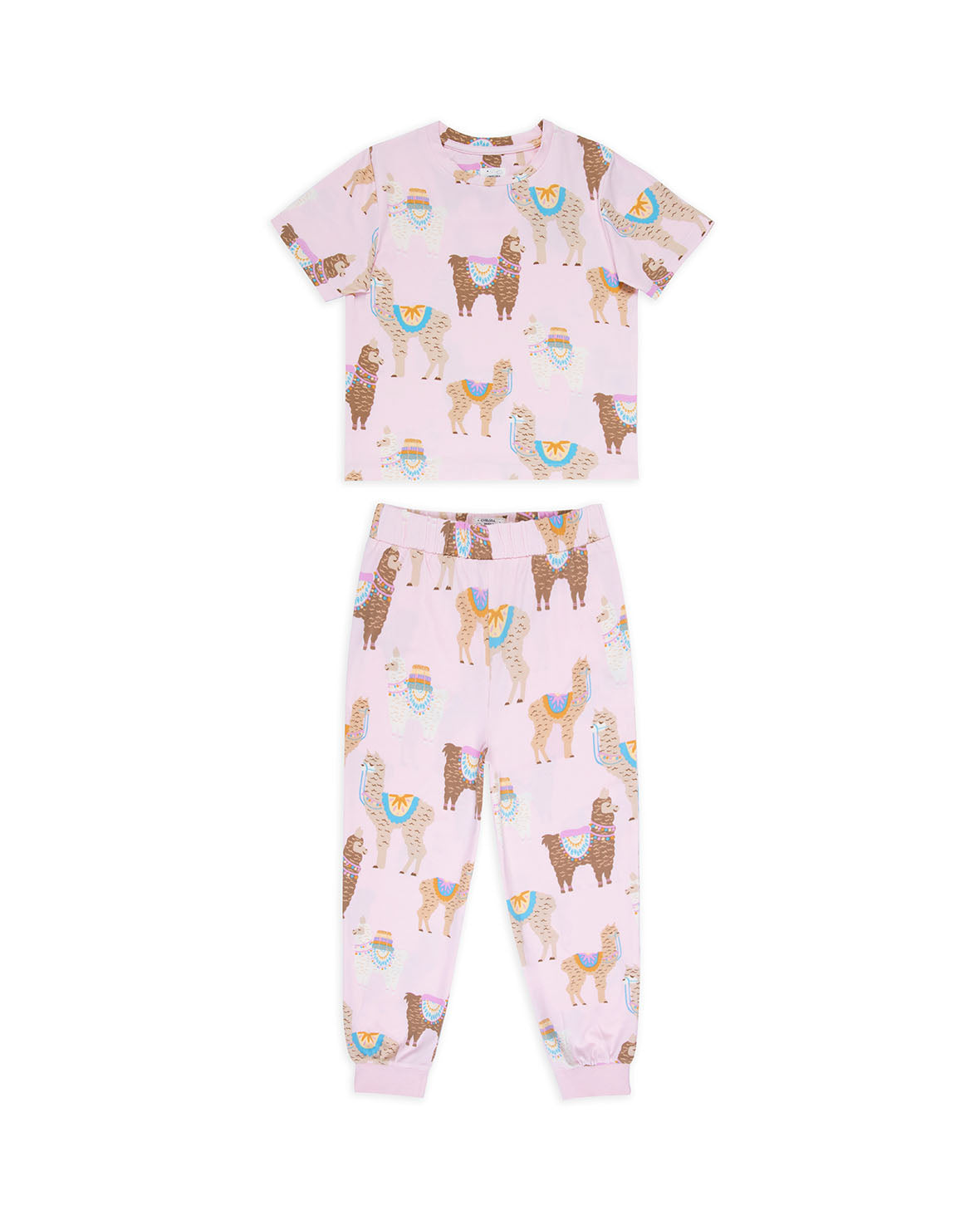 Kids Alpaca Print Long Pyjama Set