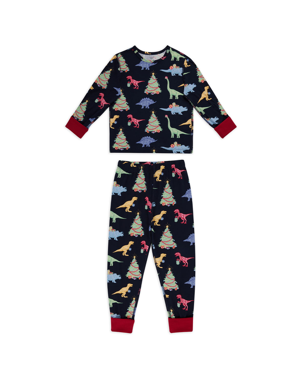 Kids Christmas Dinosaur Print Long Pyjama Set