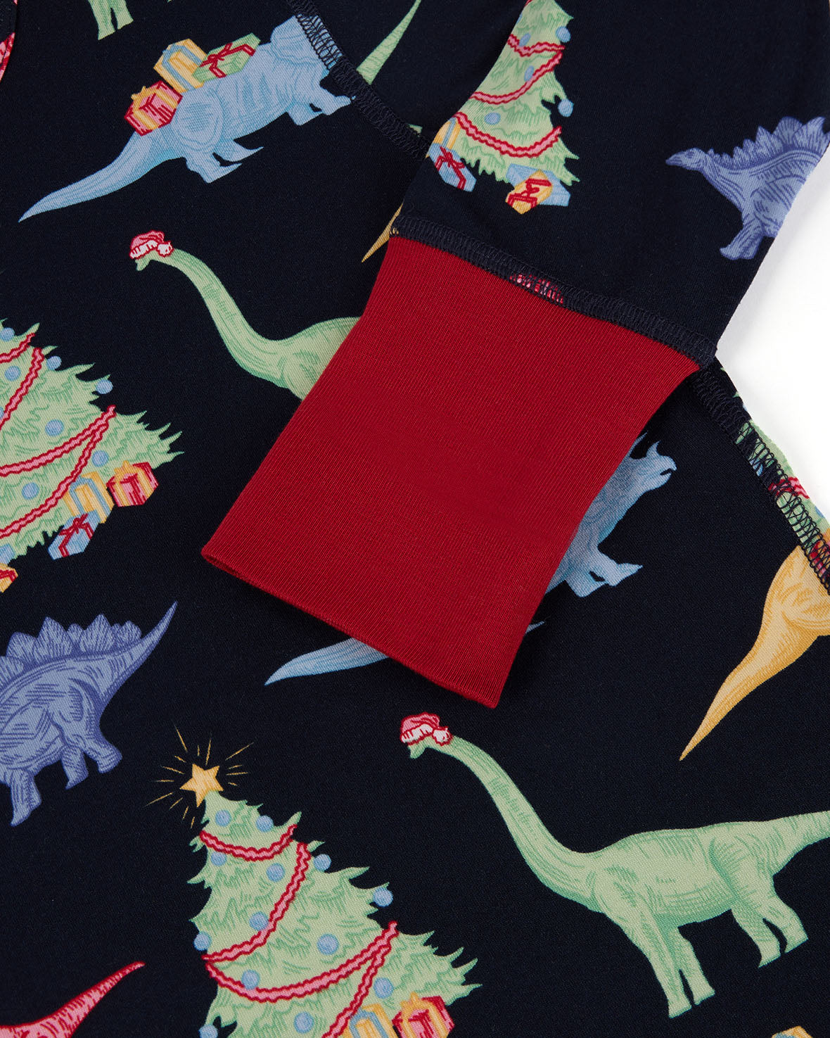 Kids Christmas Dinosaur Print Long Pyjama Set