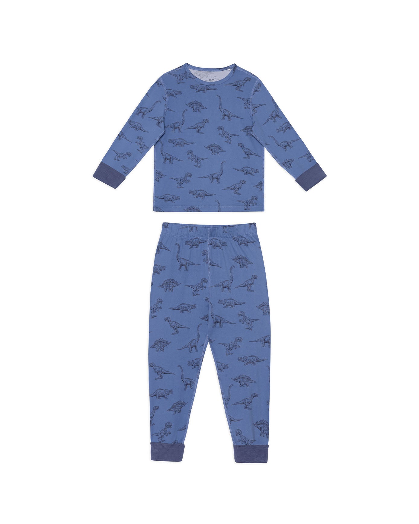 Tonal Dinosaur Print Long Pyjama Set