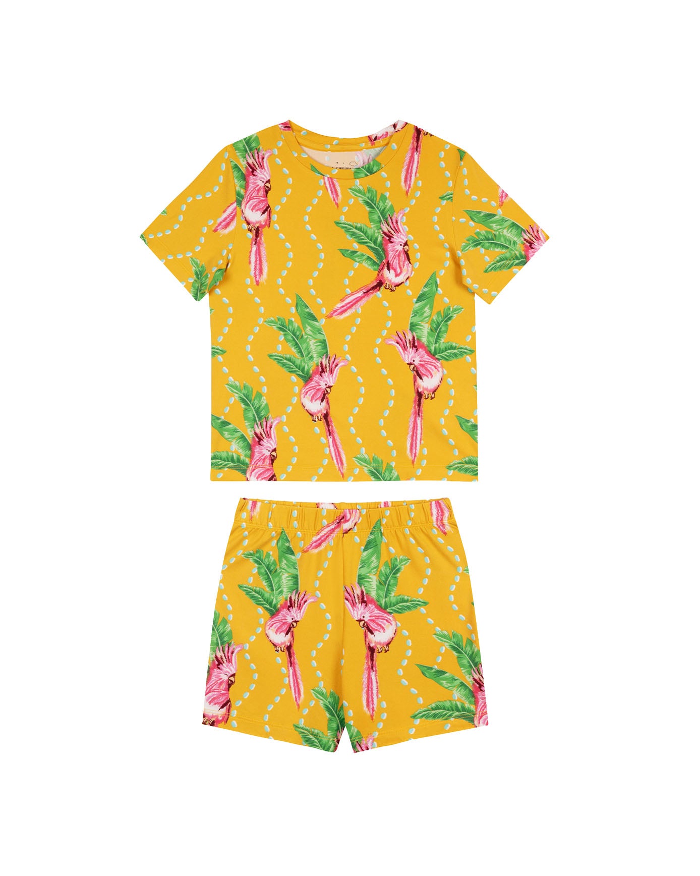 Kids Organic Cotton Parrot Wavy Stripe 