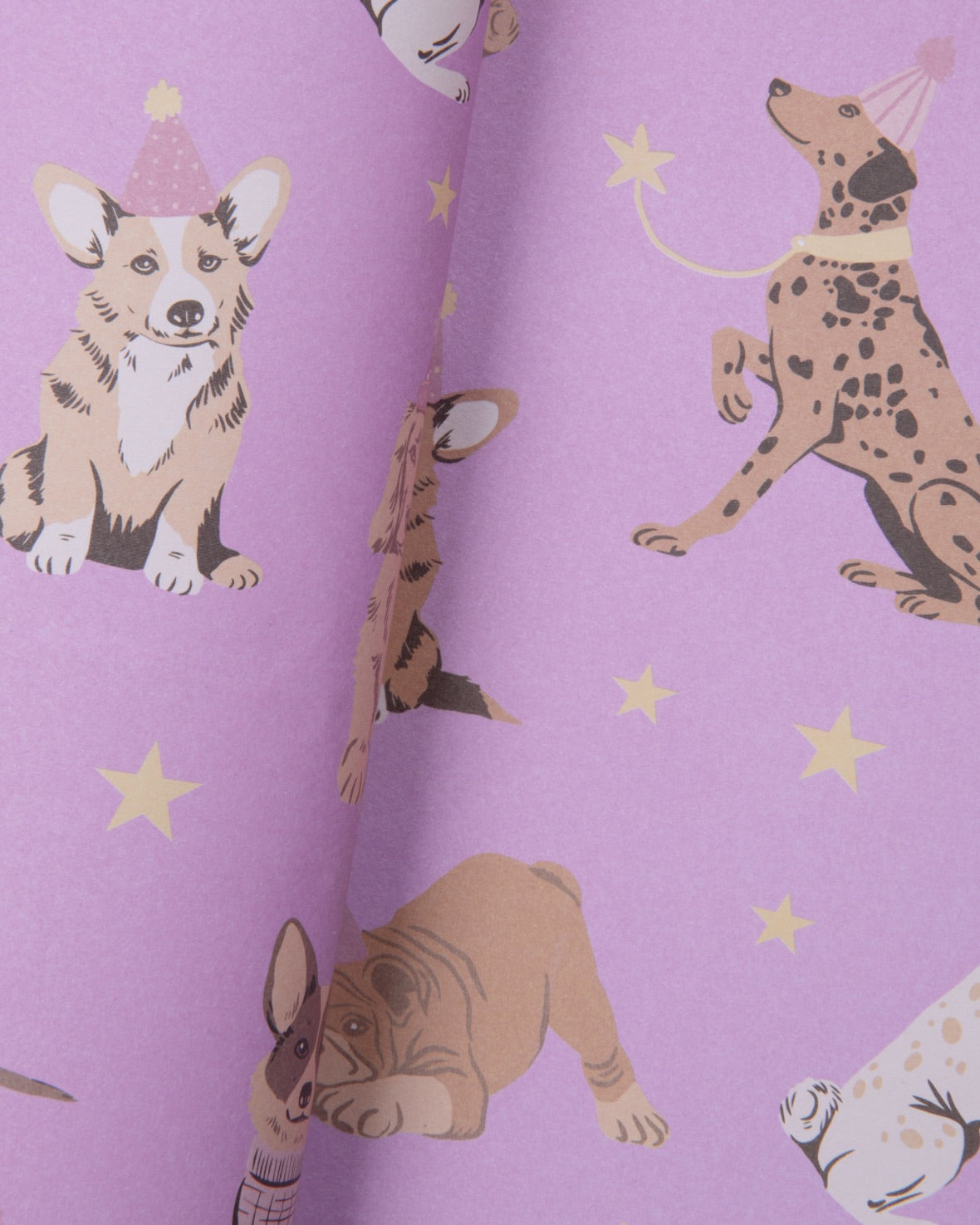 Party Dogs Wrapping Paper