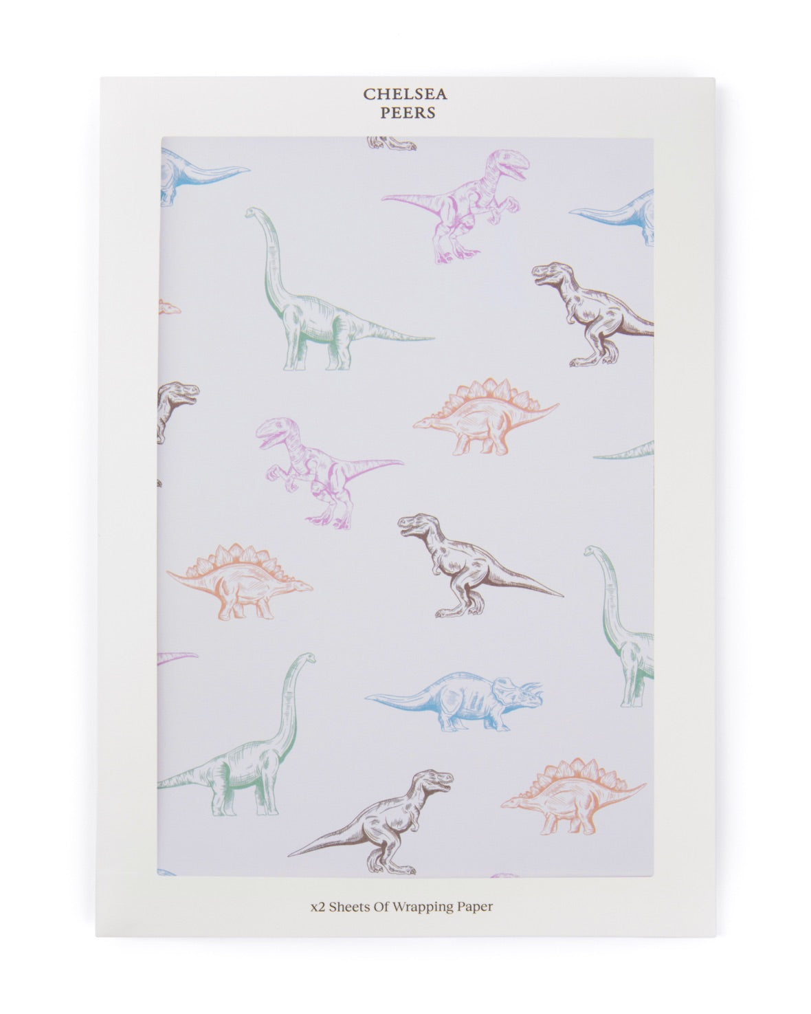 Dinosaur Wrapping Paper