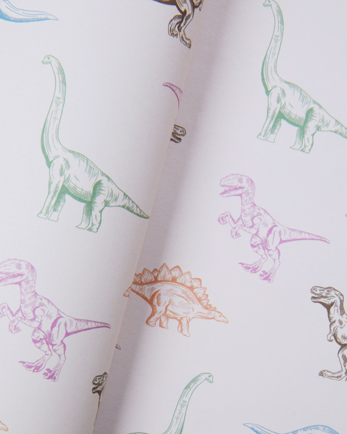 Dinosaur Wrapping Paper