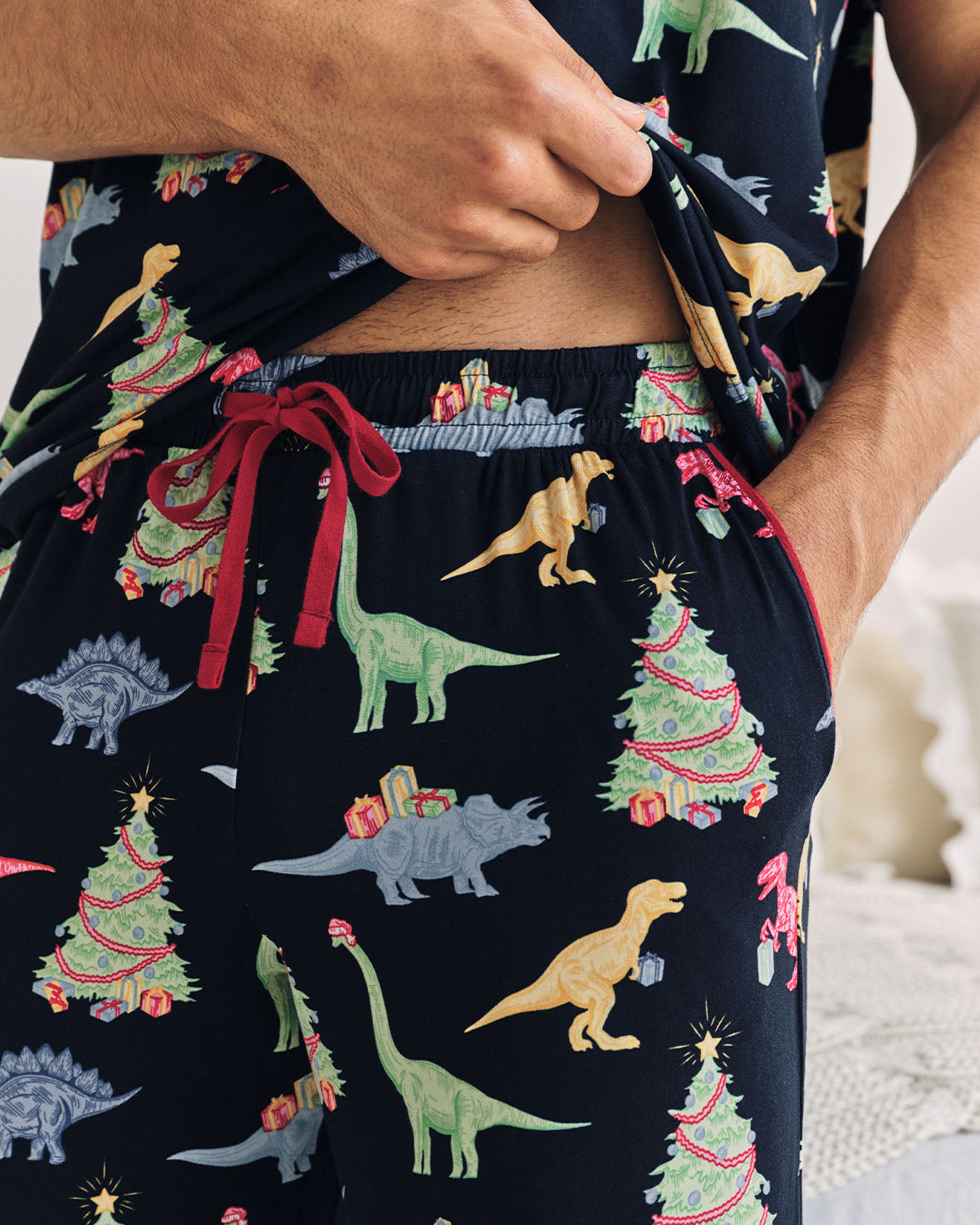 Christmas Dinosaur Print Long Pyjama Set