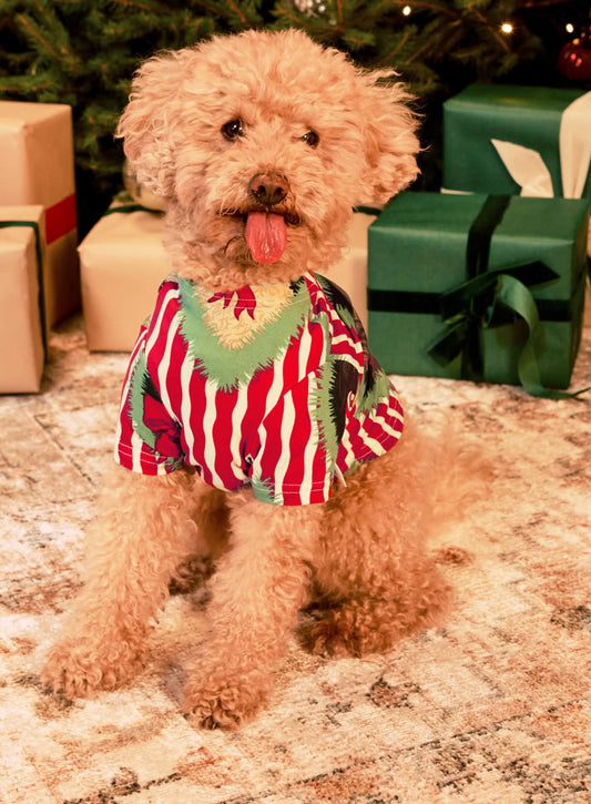 Pets Christmas Chip & Friends Stripe Print Pyjama T-Shirt