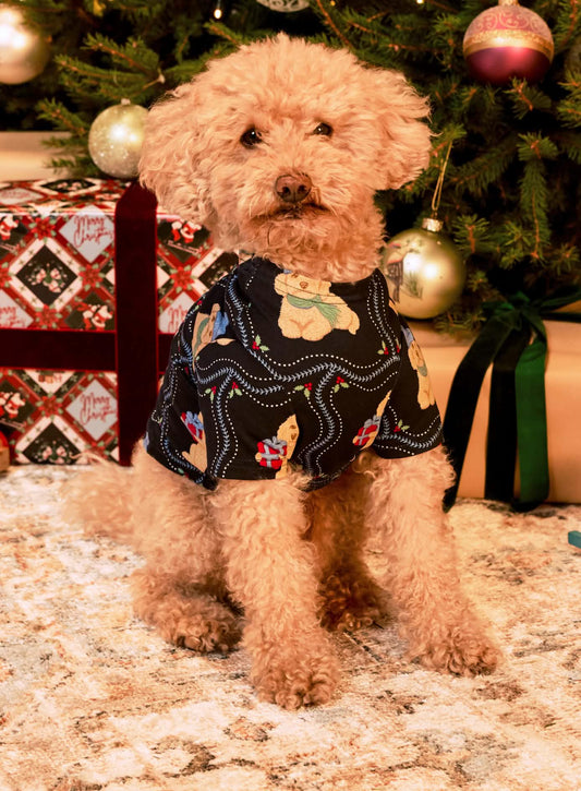 model note: Bear is a cavapoo and is wearing a size S