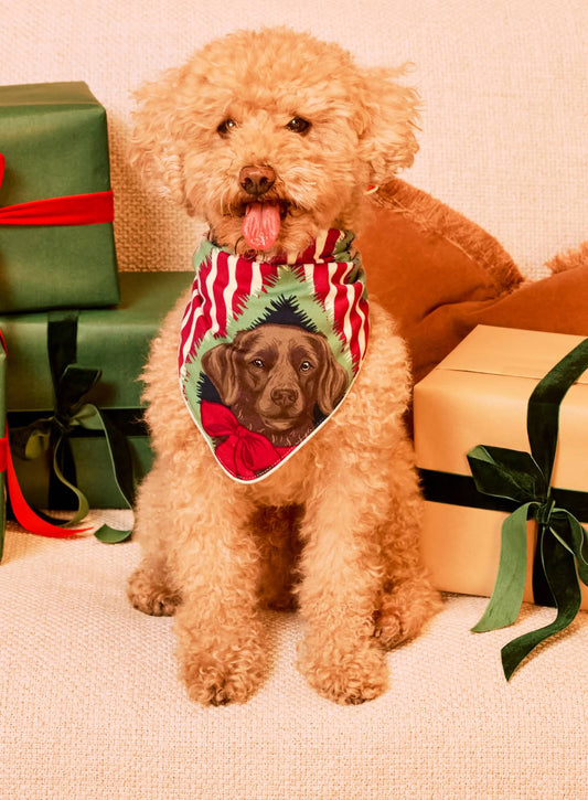 Pets Christmas Chip & Friends Stripe Print Neckerchief