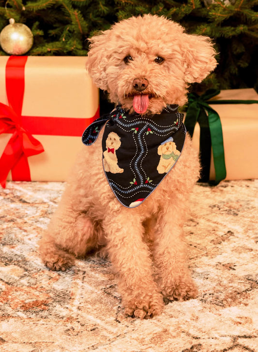 model note: Bear is a cavapoo and is wearing a size S