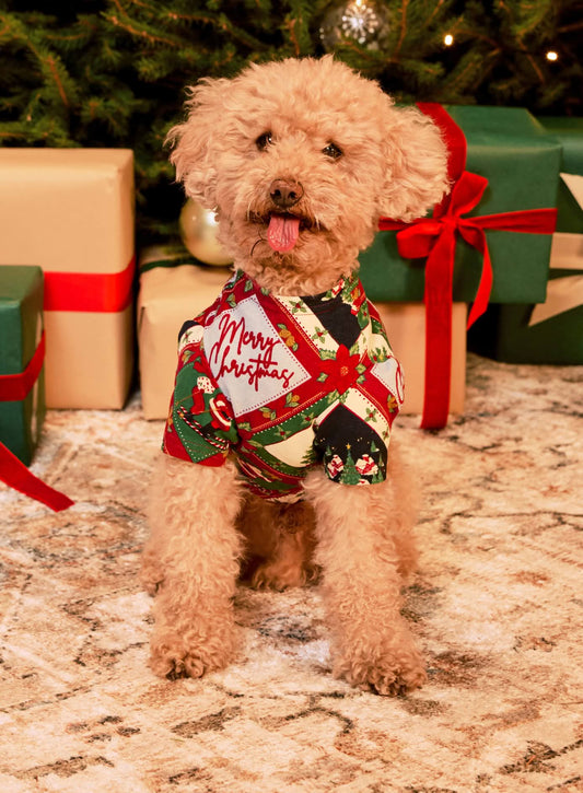 model note: Bear is a cavapoo and is wearing a size S
