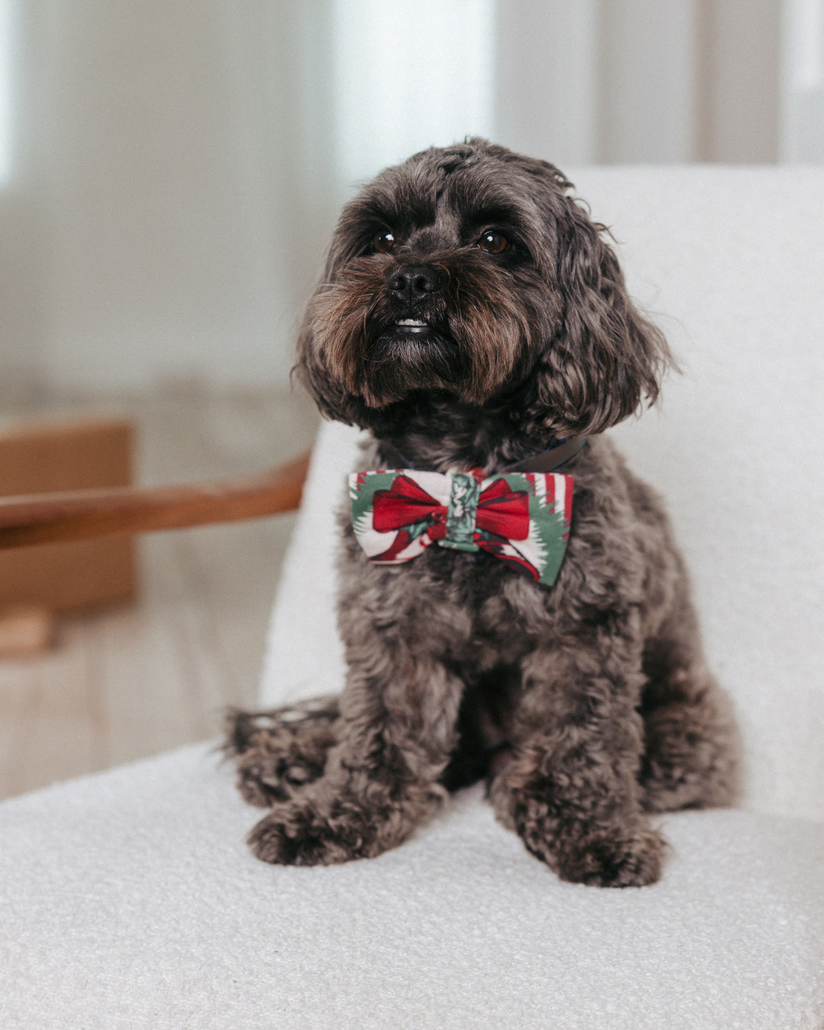 Pet Organic Cotton Christmas Vintage Tree & Wreath Print Bow Tie