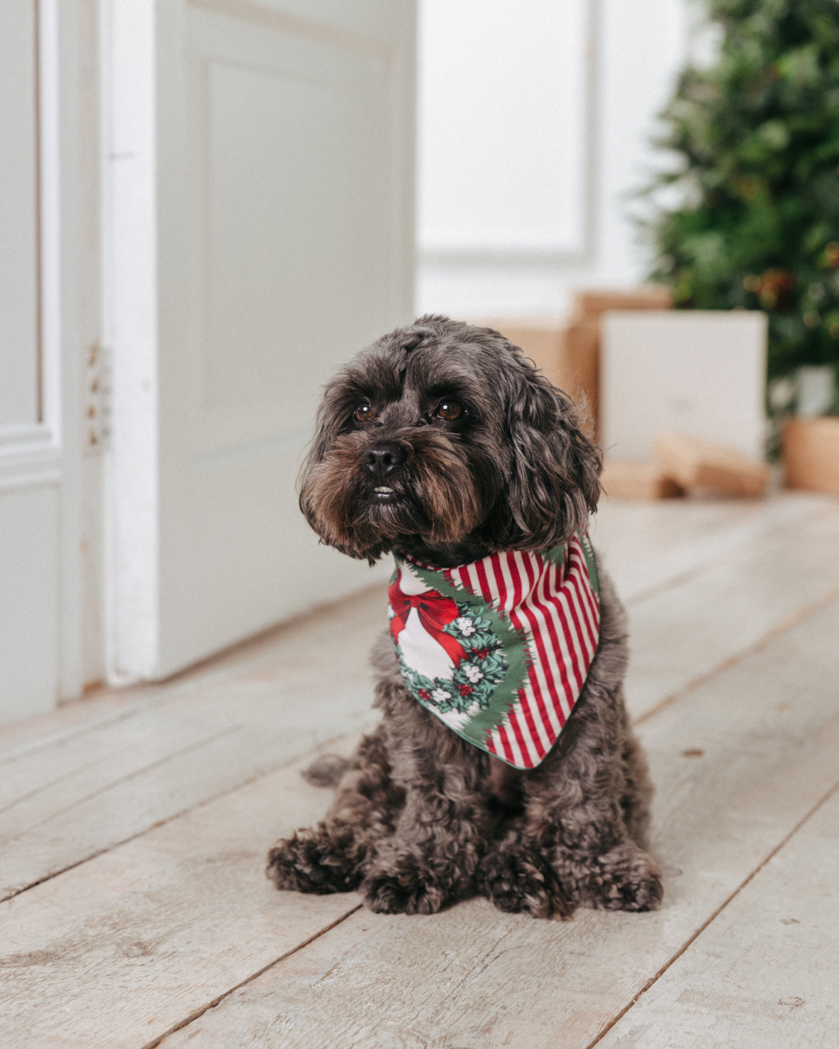 Pet Organic Cotton Christmas Vintage Tree & Wreath Print Bandana