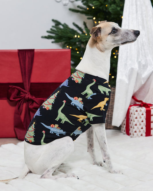 model note: Joey is a Whippet and is wearing a size M