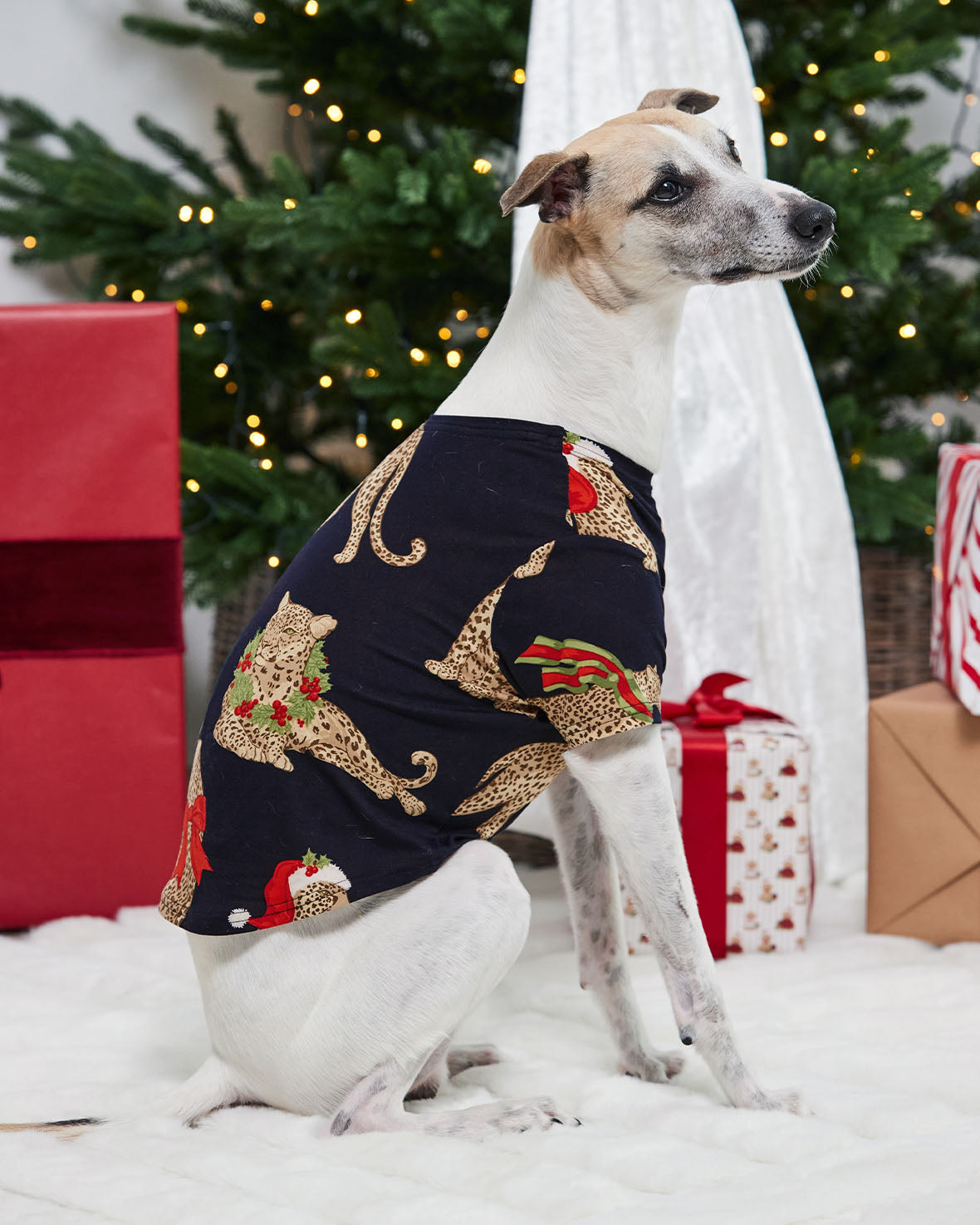 model note: Joey is a Whippet and is wearing a size M
