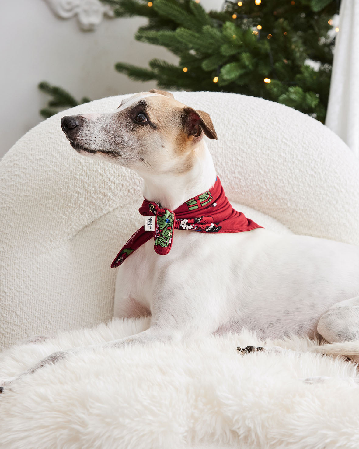 Pets Christmas Santa Snowball Print Neckerchief