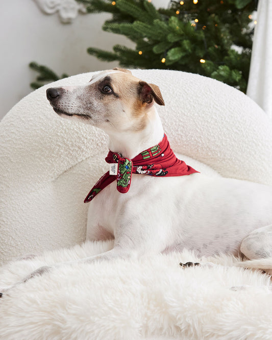 Pets Christmas Santa Snowball Print Neckerchief