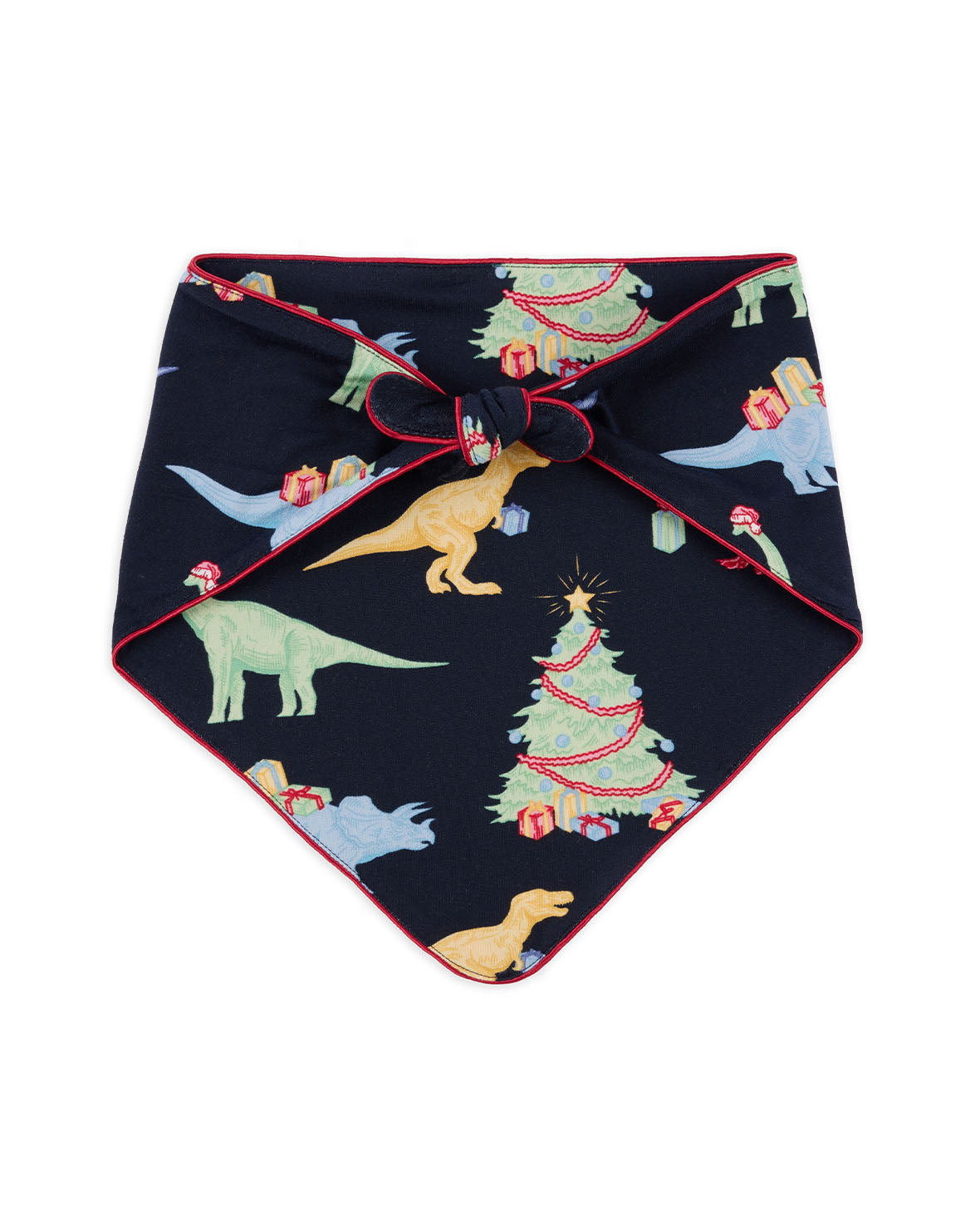 Pets Christmas Dinosaur Print Neckerchief