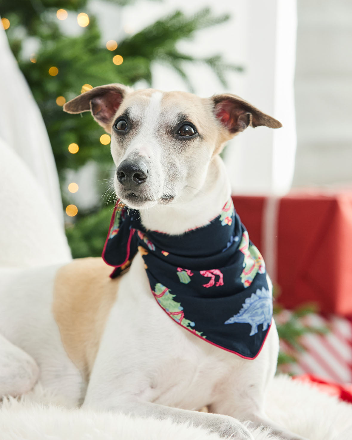 Pets Christmas Dinosaur Print Neckerchief