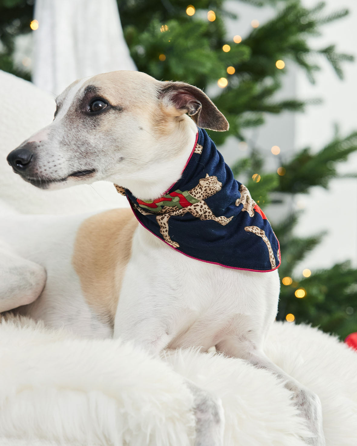 Pets Christmas Leopard Print Neckerchief