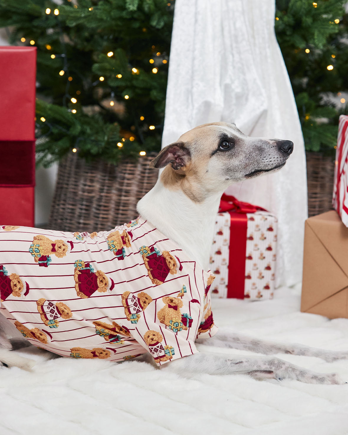 model note: Joey is a Whippet and is wearing a size M