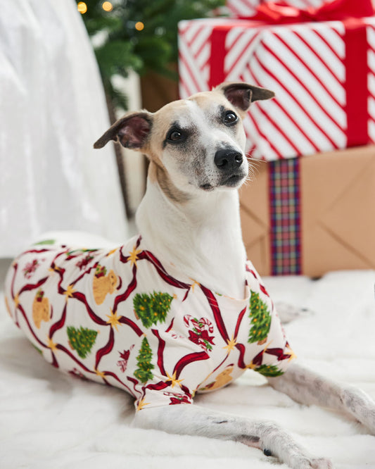 model note: Joey is a Whippet and is wearing a size M