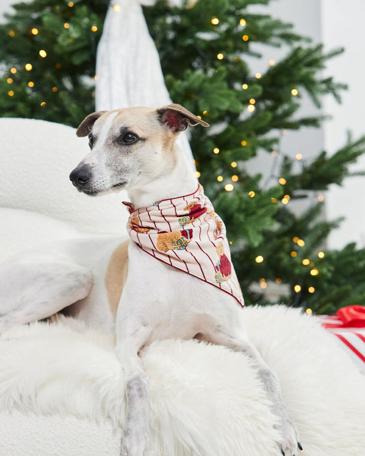 Pets Organic Cotton Chip the Christmas Cockapoo Dog Print Neckerchief