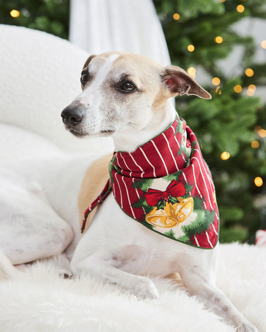 Pets Organic Cotton Christmas Tree Stripe Neckerchief