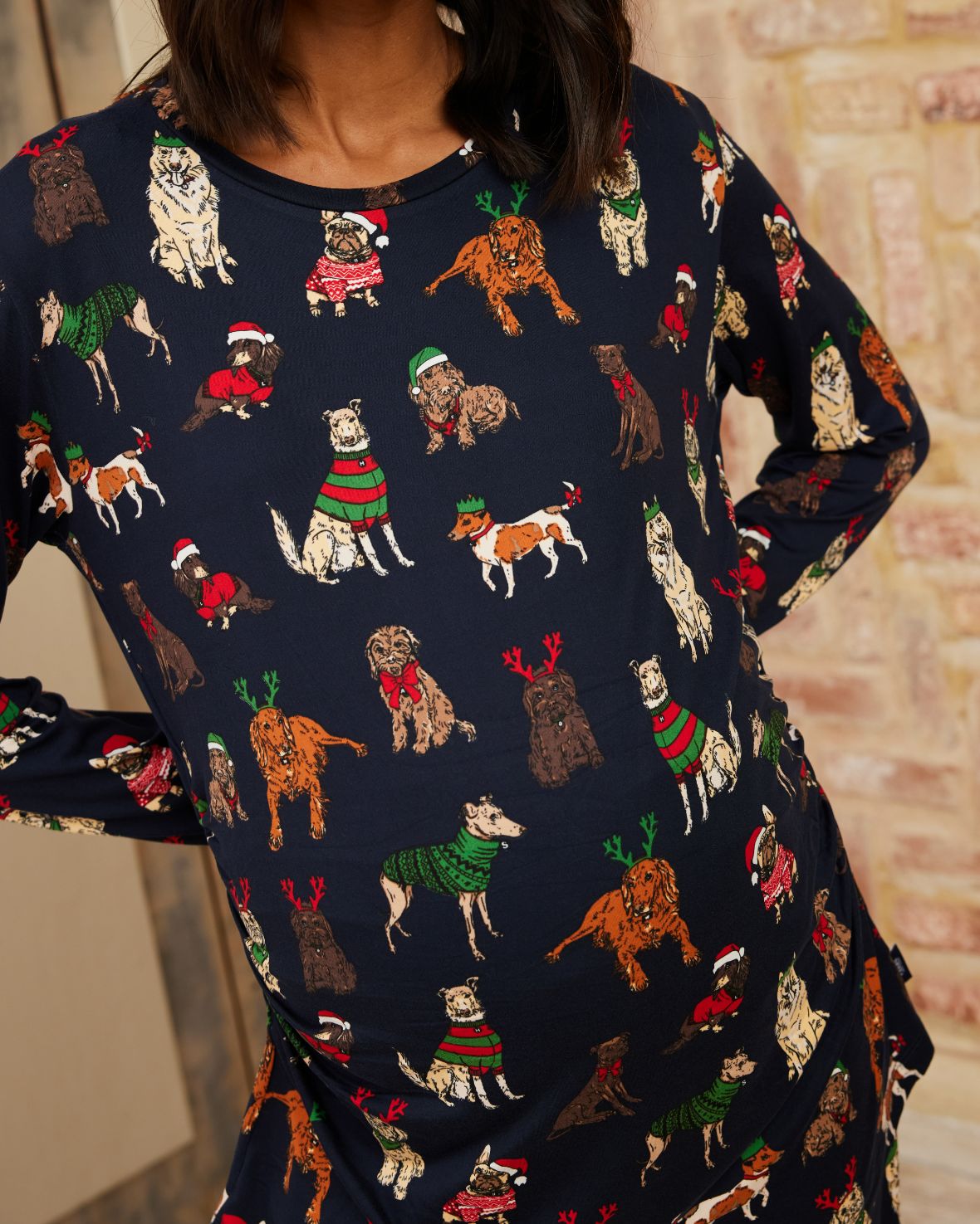 Maternity 12 Dogs of Christmas Print Long Pyjama Set