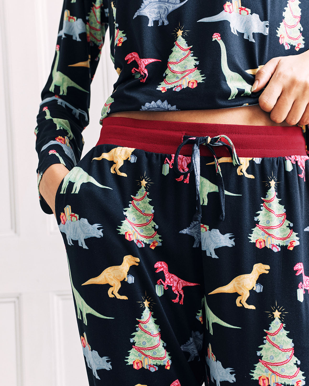 Christmas Dinosaur Print Long Pyjama Set