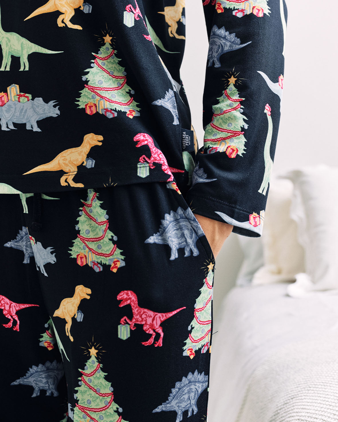 Christmas Dinosaur Print Long Pyjama Set