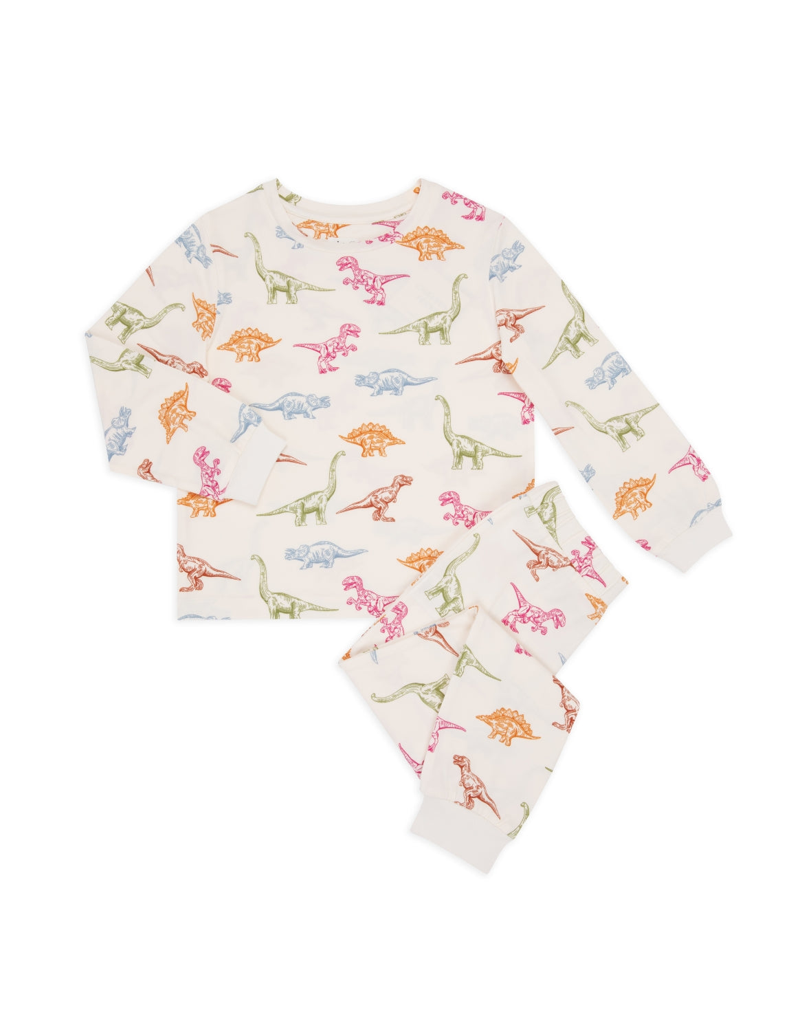 Kids Dinosaur Print Long Pyjama Set