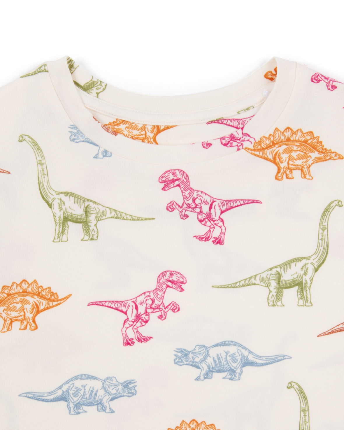 Kids Dinosaur Print Long Pyjama Set