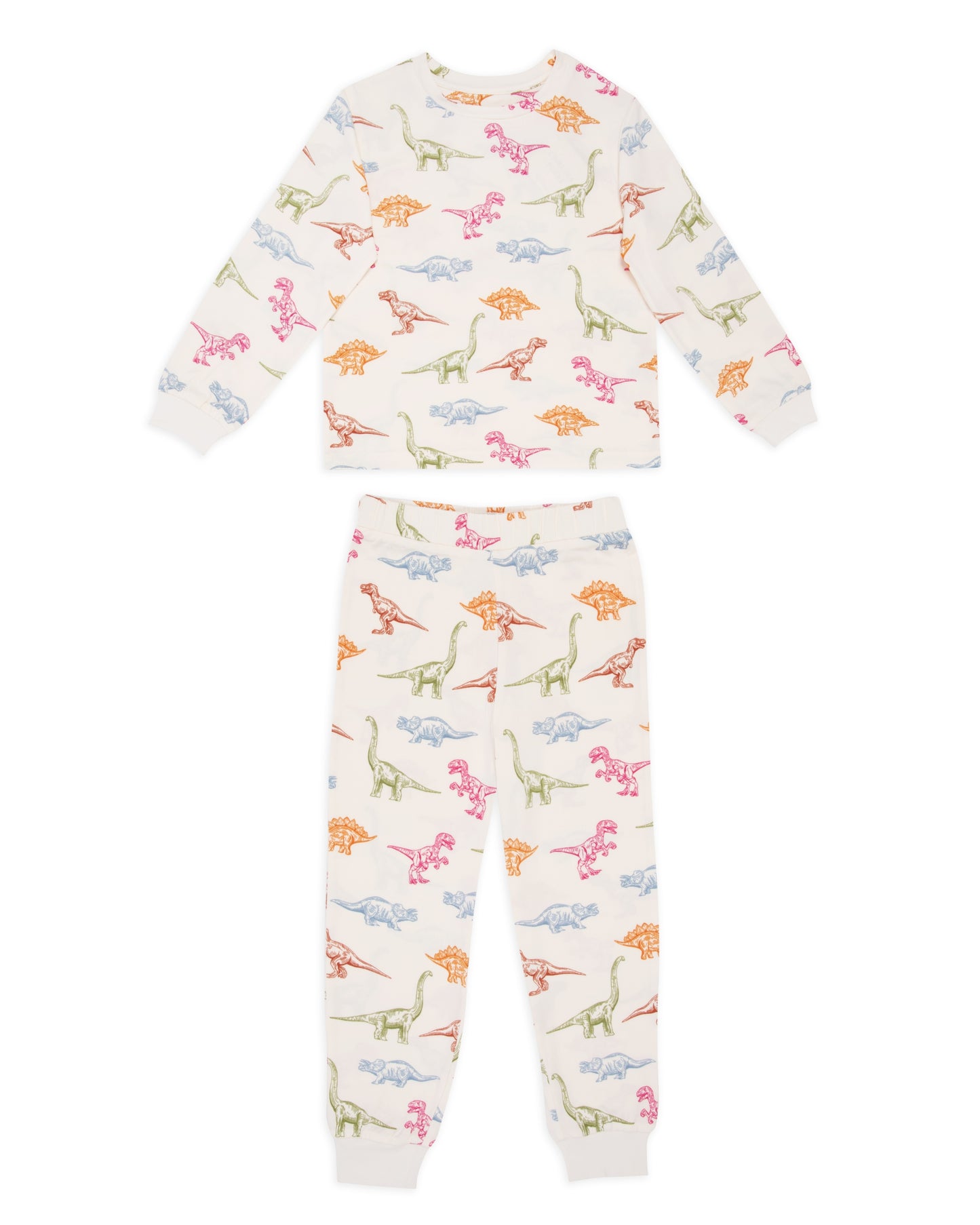 Kids Dinosaur Print Long Pyjama Set