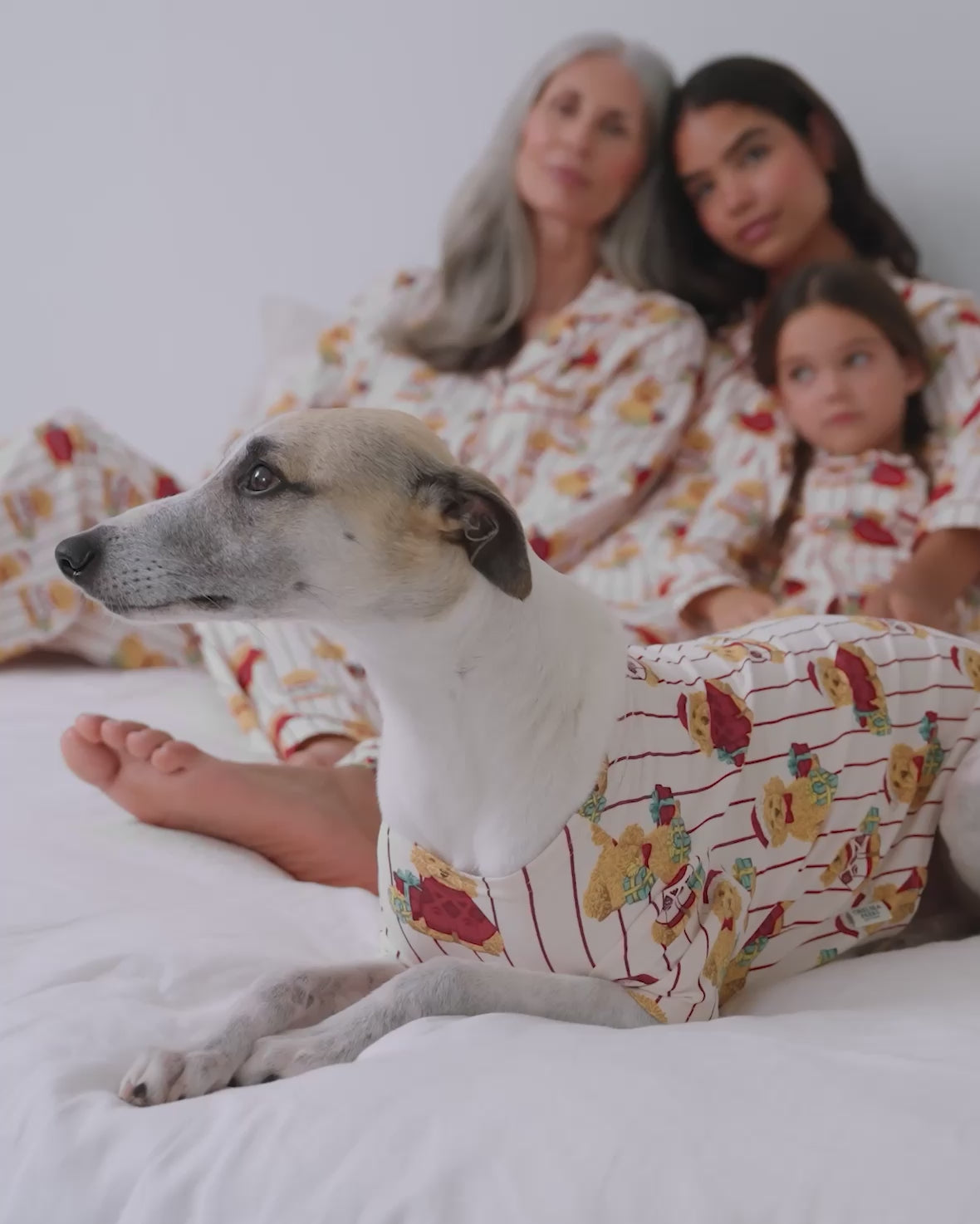 Chip the Christmas Cockapoo Print Matching Family Pyjamas