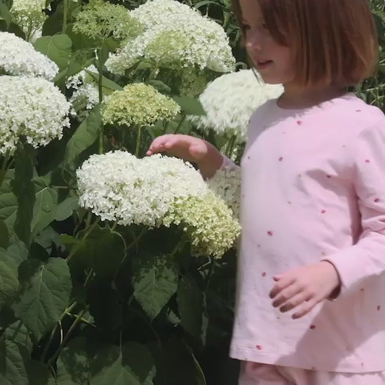 Kids Organic Cotton Mini Mushroom Print Long Pyjama Set